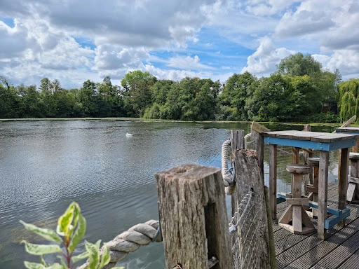 Heron on the Lake photo 6